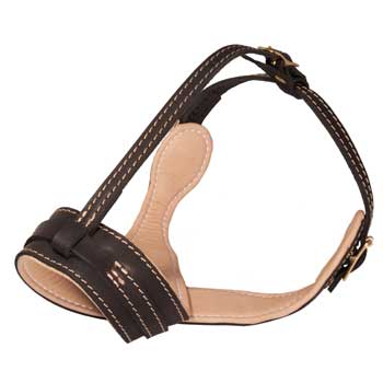 Leather Samoyed Muzzle Padded with Nappa Leather
