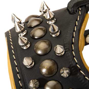 Walking Training Designer Black Dog Muzzle for Samoyed