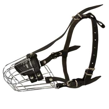 Wire Cage Muzzle for Training Samoyed Working Dogs