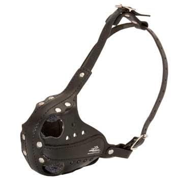 Sof Leather padded Samoyed Muzzle
